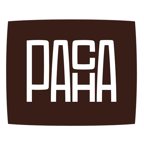 Pacha icon