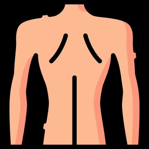 Back Care icon