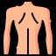 Back Care - Other