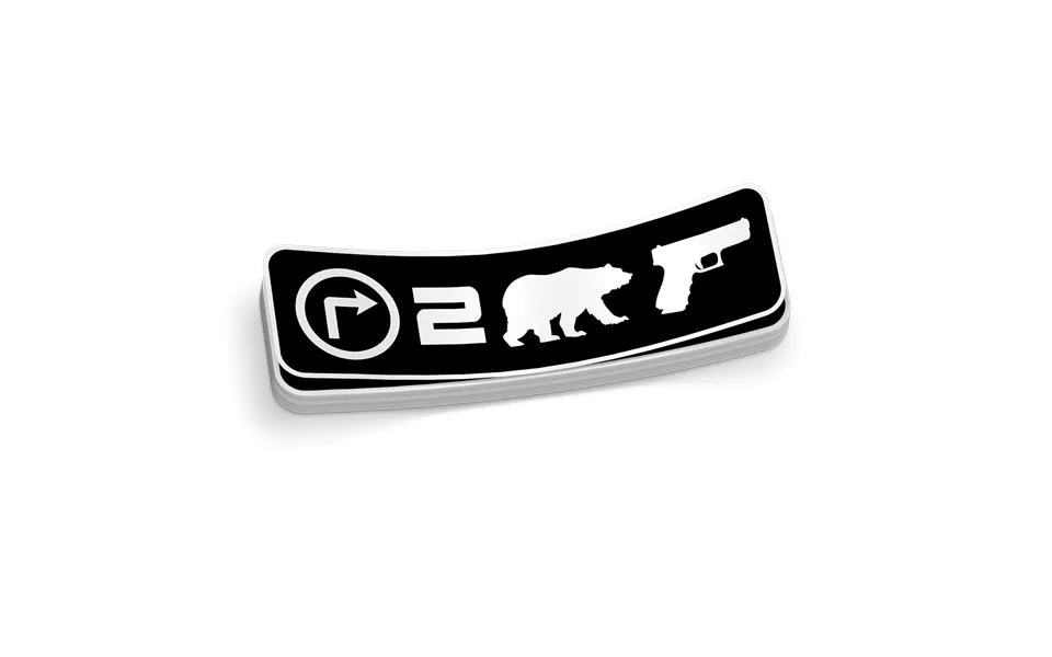 Right To Bear Arms Decal