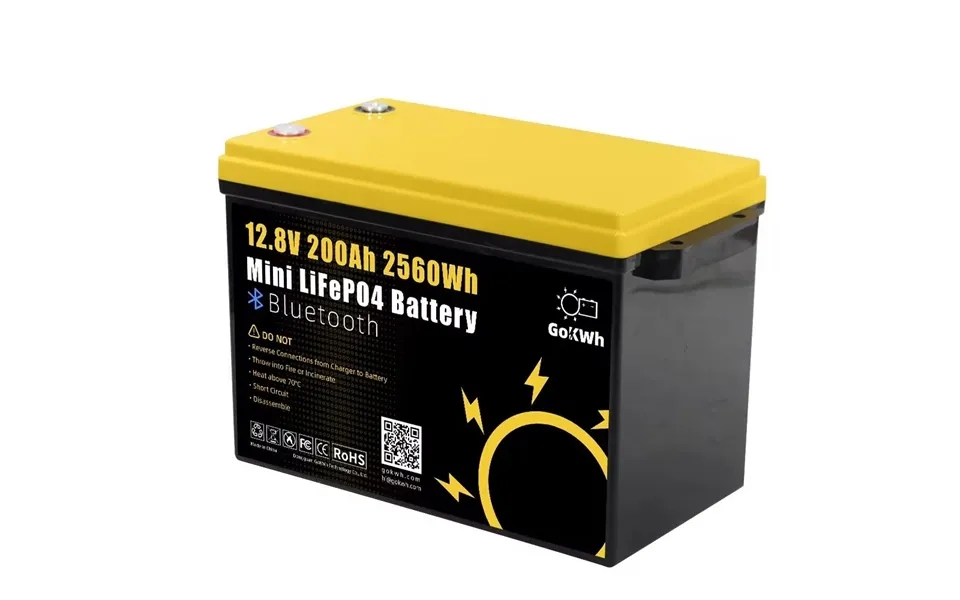Gokwh 12v 200ah Mini Bluetooth Lifepo4 Battery Built-in Bluetooth Bms 2560wh Lifepo4 Lfp Ip65 Protection