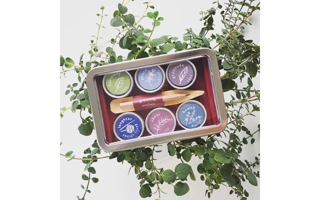 Organic Herb Seed Kit product image