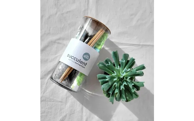 Succulent Terrarium product image