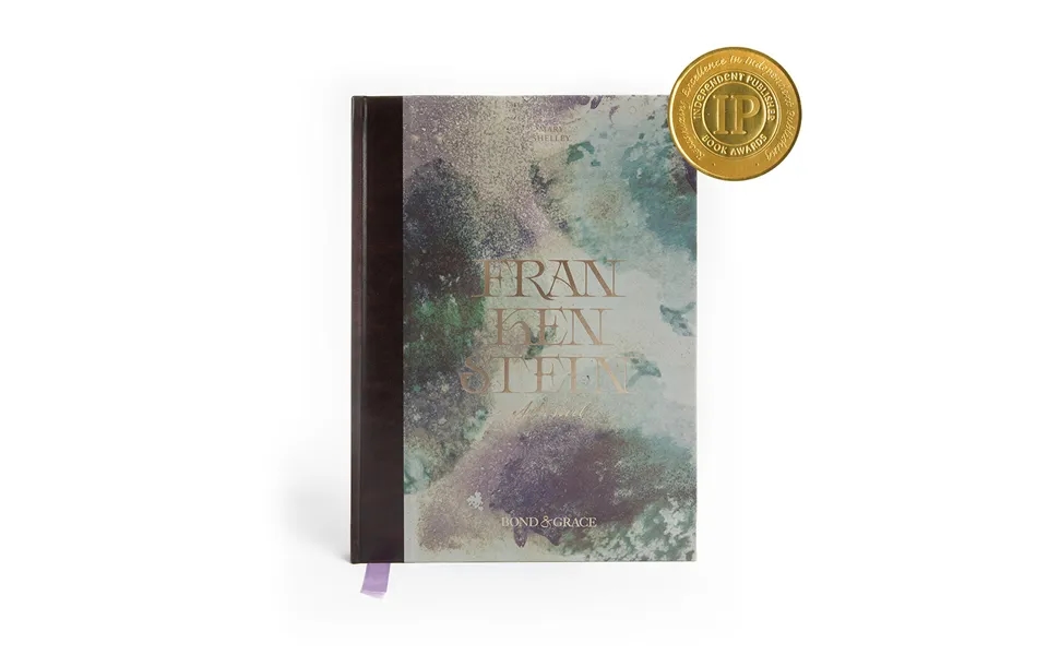 Frankenstein Art Novel Special Edition