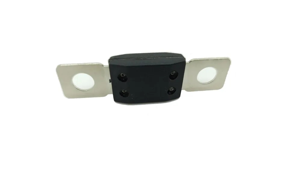 Victron Mega Fuse 150a Dc