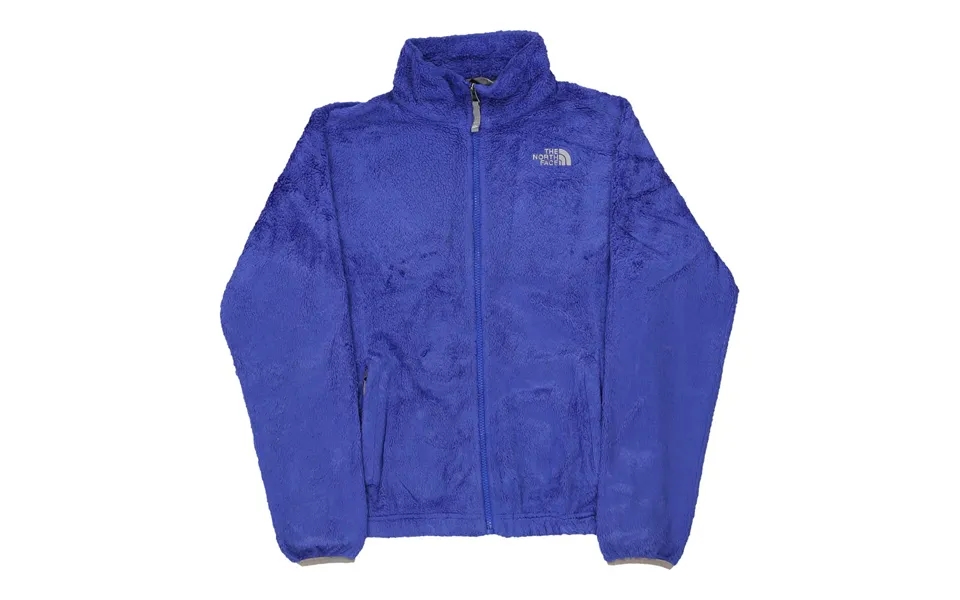 Age 13-14 The North Face Fleece - Xl Blue Polyester