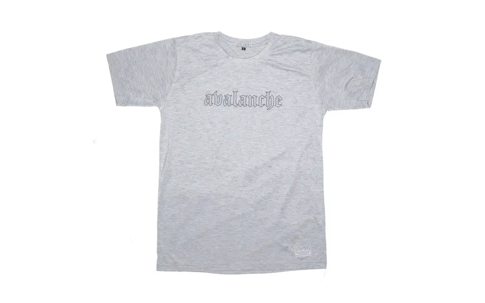 Avalanche Grey Short Sleeve T-shirt Womens L