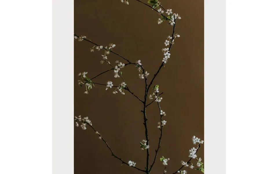 Branches And Blossoms - 5 Size 16 X 24