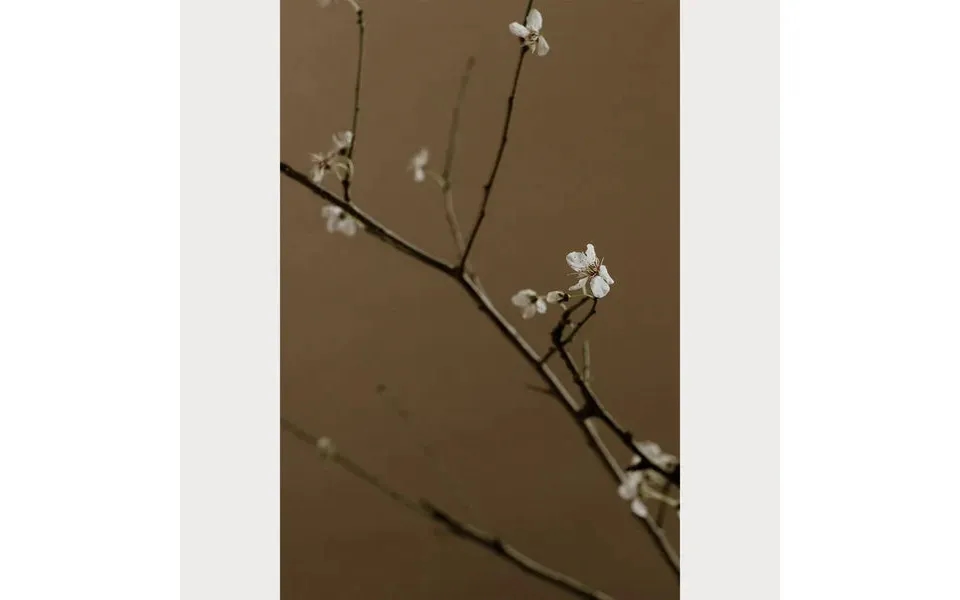 Branches And Blossoms - 7 Size 30 X 40