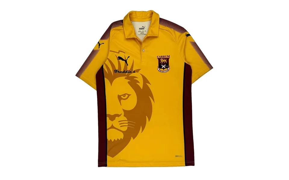Carrum Lions Cricket Puma Jersey - 2xl Yellow Polyester
