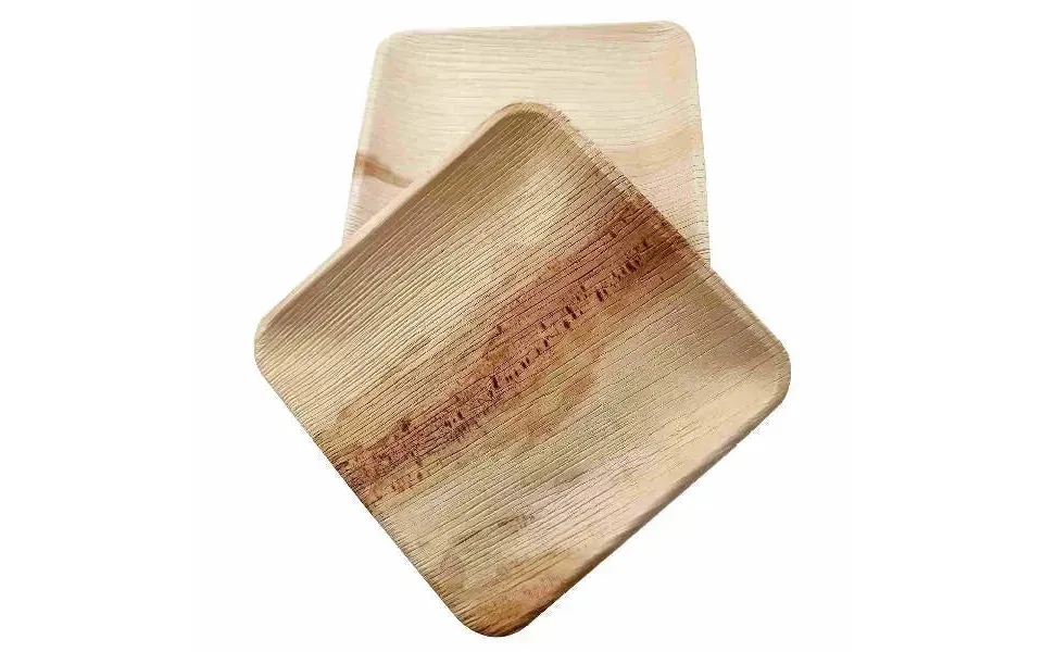 Dtocs Palm Leaf Plates 6 Inch Square Pack 50 Bamboo Plate Like Compostable Disposable Wedding Plates For Serving Fruits