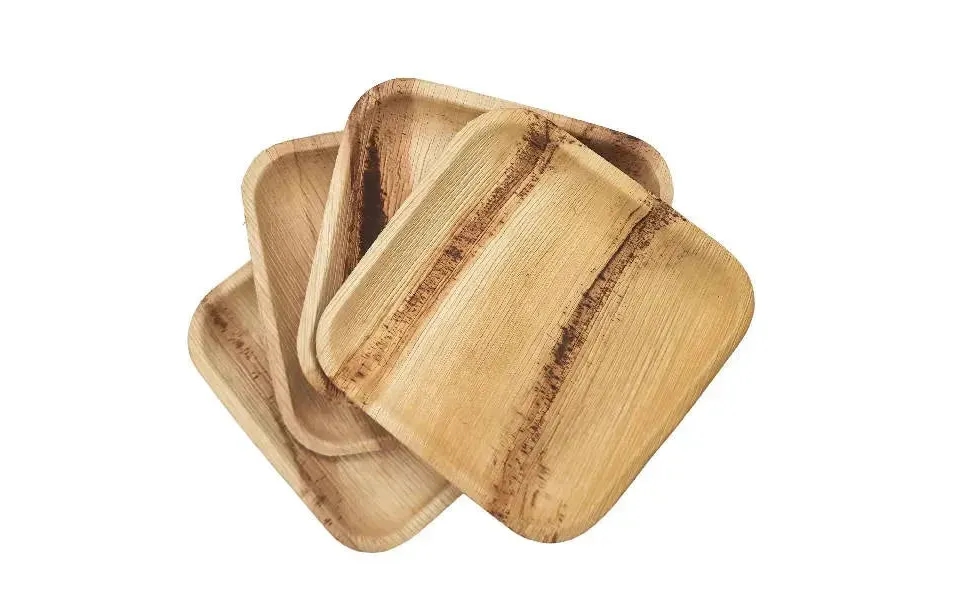 Dtocs Palm Leaf Plates - 7 Inch Square Pack 50 Bamboo Plate Like Compostable Disposable Wedding Plates