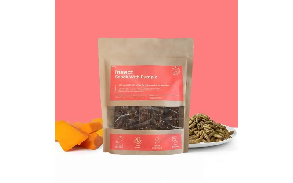 Insect Snack With Pumpkin Välj Storlek 100g