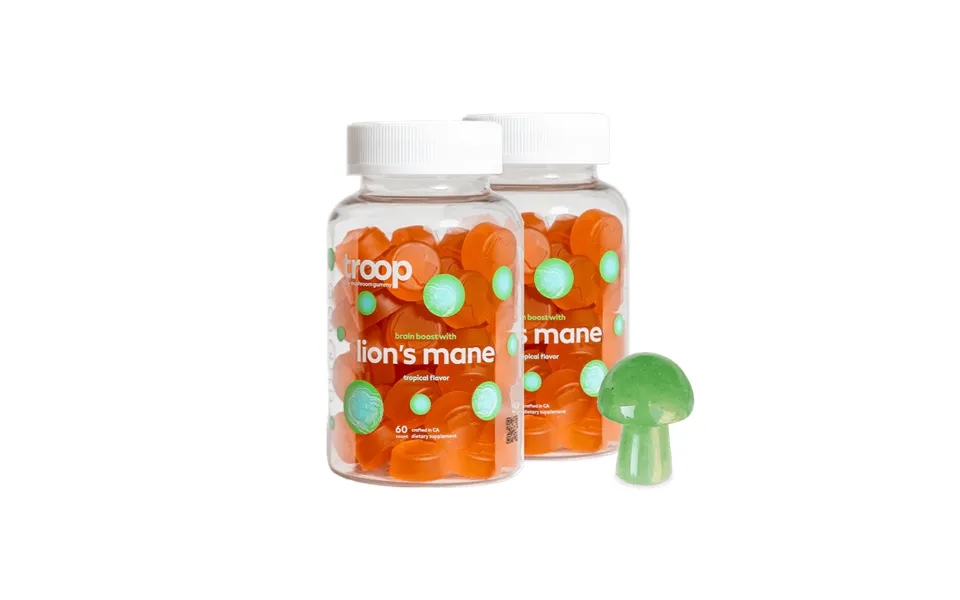 Lion's Mane 2 Bottle Bundle Size 60 Day Supply