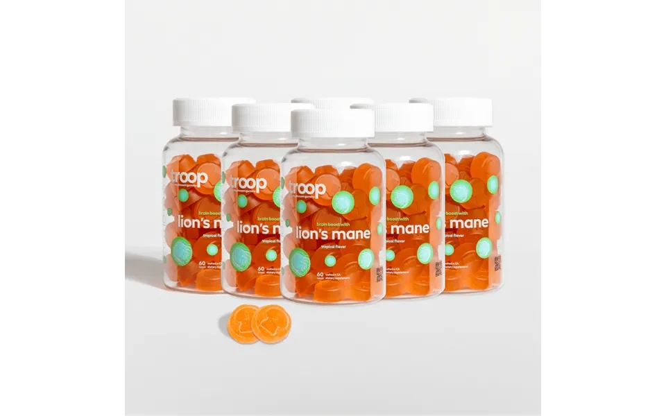 Lions Mane 6 Month Bundle Size 1 Package