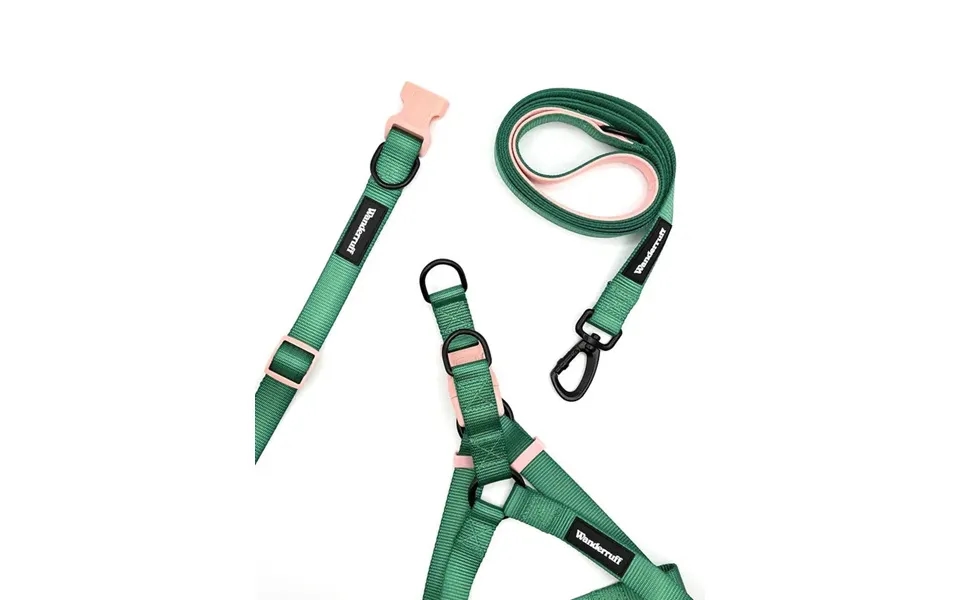 Lola Walk Kit Collar Size S Harness Size L Leash Width M L 1