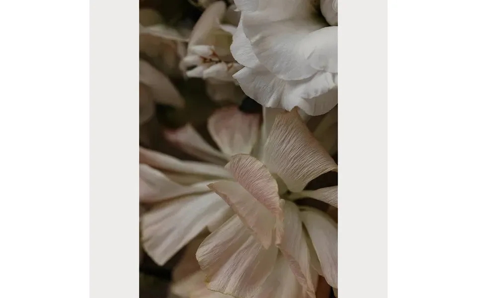 Love Letter - 1 Size 24 X 36