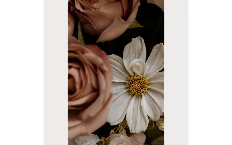 Love Letter - 7 Size 24 X 36