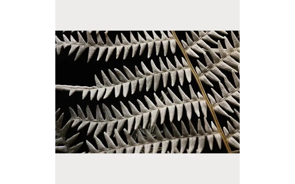 Nordic Simplicity - 2 Size 24 X 36