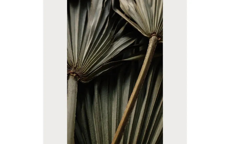 Nordic Simplicity - 4 Size 32 X 48