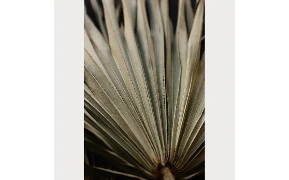 Nordic Simplicity - 6 Size 32 X 48