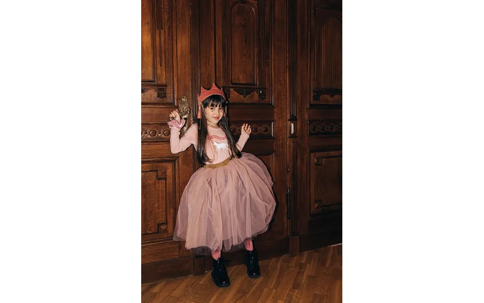 Princess Tutu Skirt Size 8-10 Years