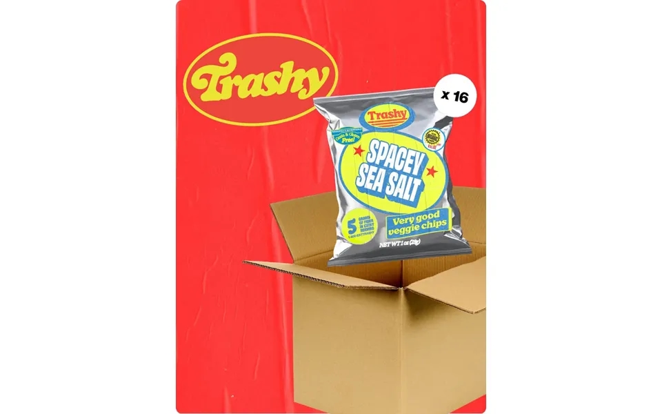 Sea Salt Trashy Chips Bundle 16-pack