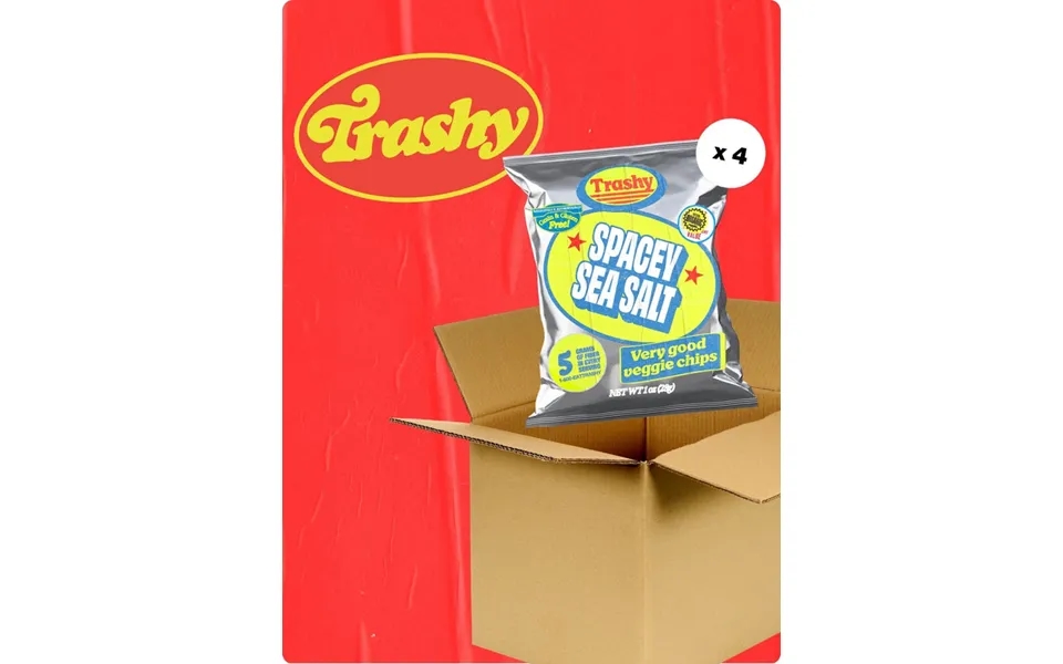 Sea Salt Trashy Chips Bundle 4-pack