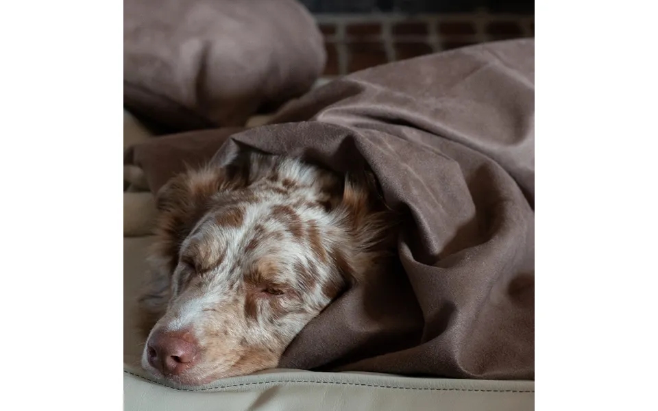 Soothe Anti-anxiety Weighted Dog Blanket Size Medium 40 X30 Color Gray