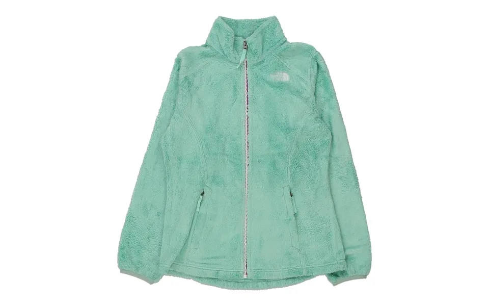 The North Face Fleece - Small Blue Polyester