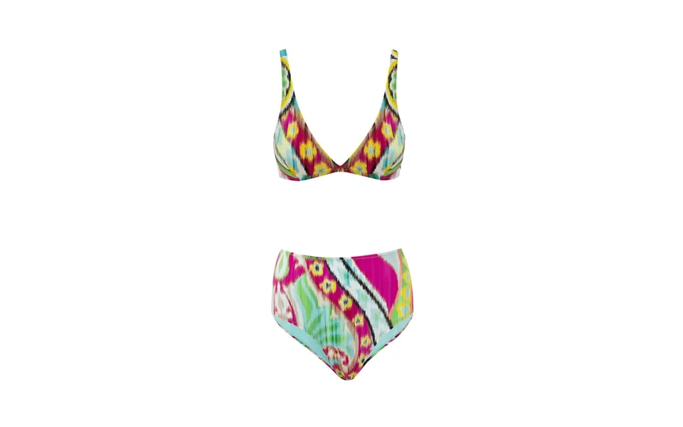 Bikini With Slip Alto In Print Multicolor Etro