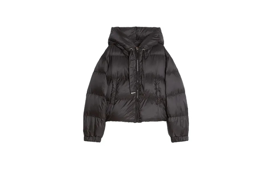 Feathers Woman Max Mara - Sixe