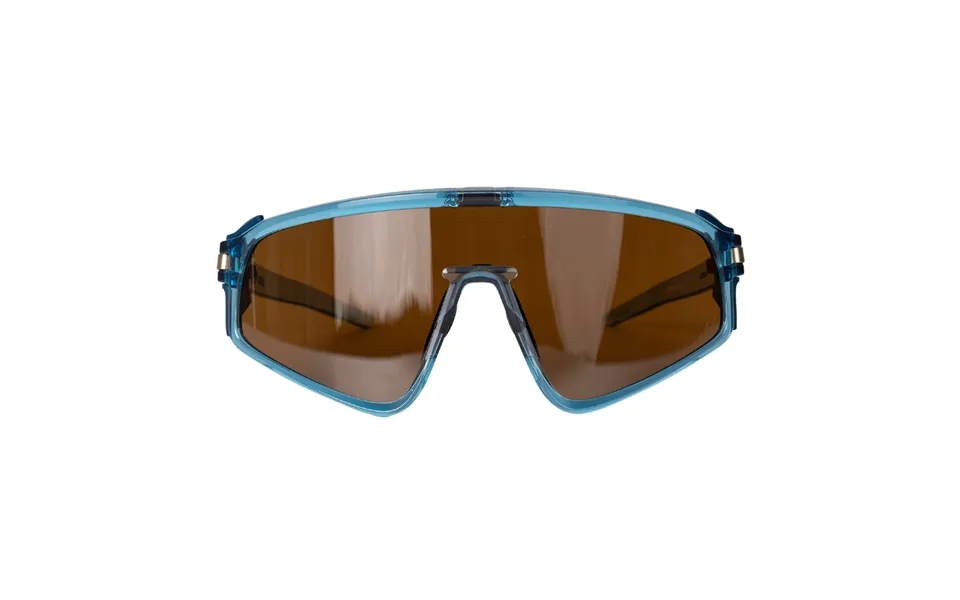 Latch Panel Sunglasses In Light Blue And Brown