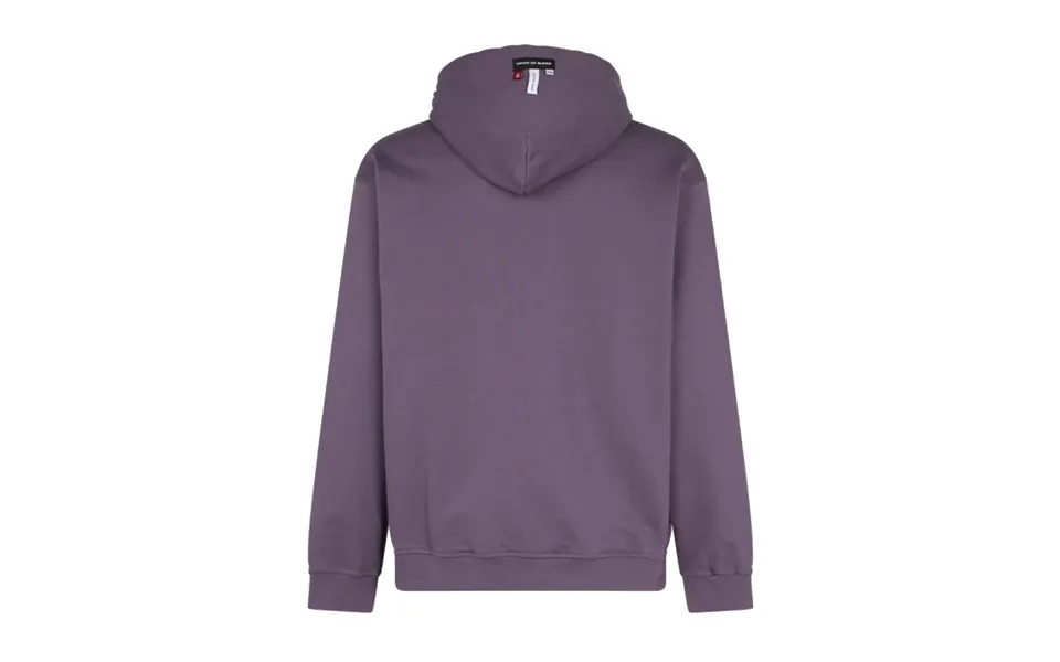 Men's Lightweight Hooded Sweatshirt Rock Tiger Print Hoodie