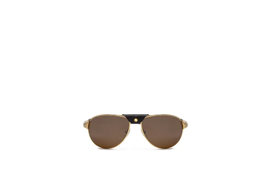 Sunglasses Cartier Santos