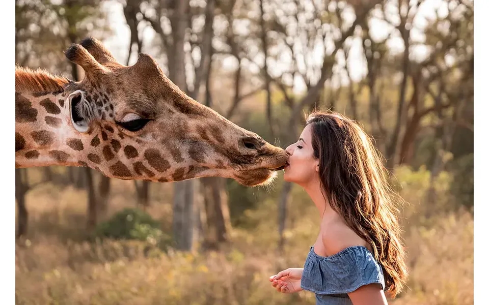 Adventurer Mt Kenya - Samburu & Mara