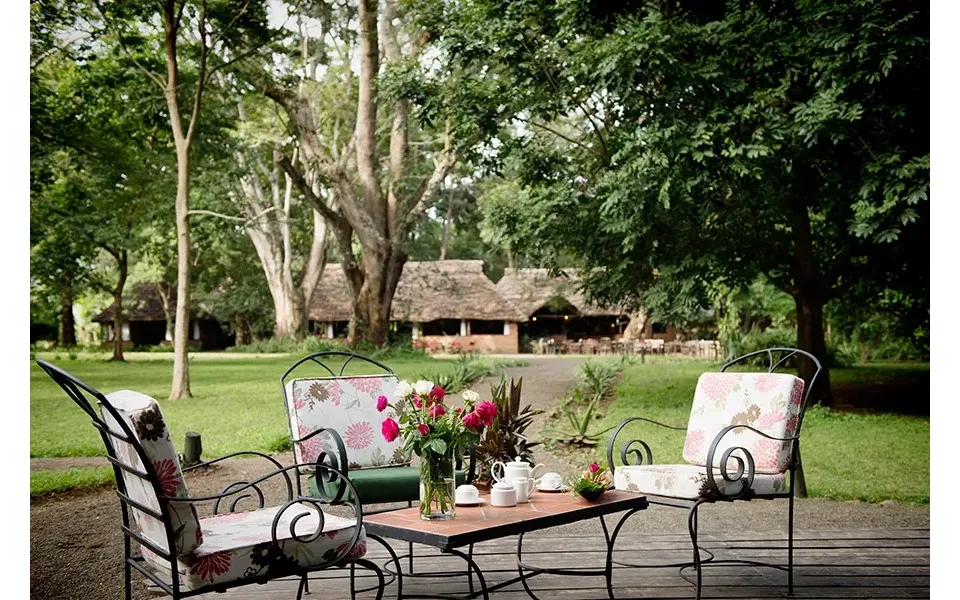 Best-price Tanzania Migration - Manyara & Karatu Private Fly Drive