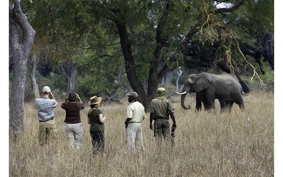 Diverse South Luangwa