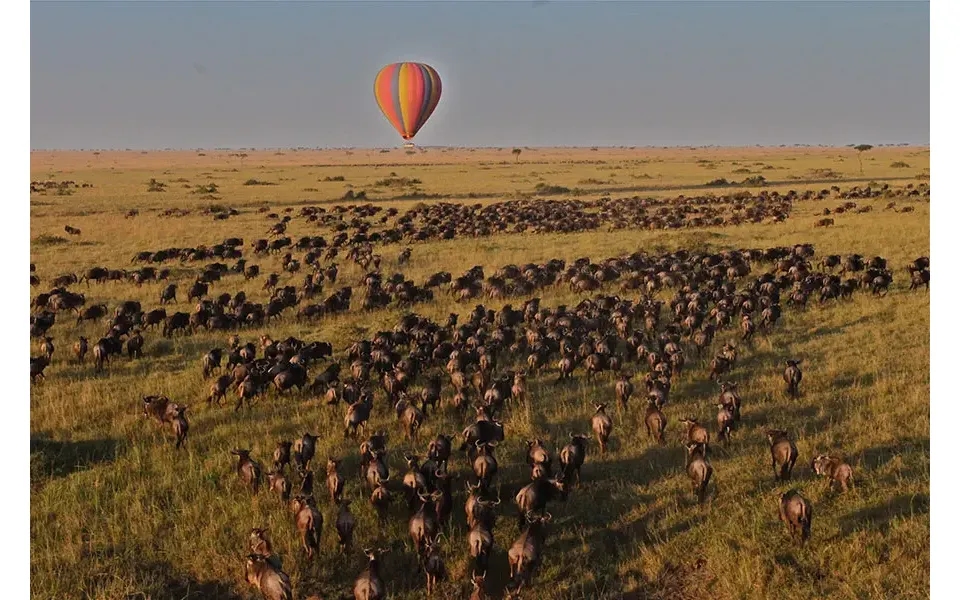 Kenyaâ S Immersive Samburu & Mara