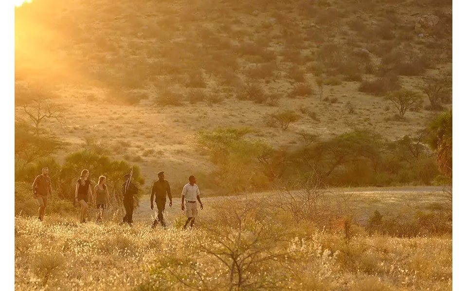 Kenyaâ S Mara & Rhino Walking Experience