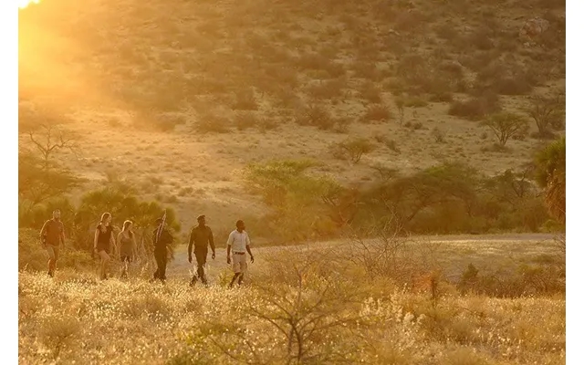 Kenyaâ S Mara & Rhino Walking Experience product image