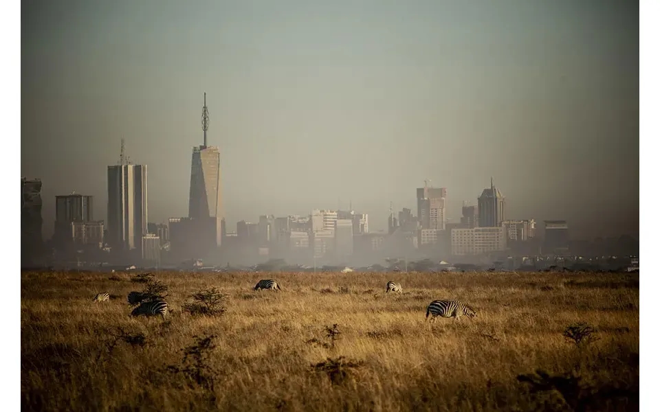 Kenya's Four Parks Conservation - Community & Wildlife Safari