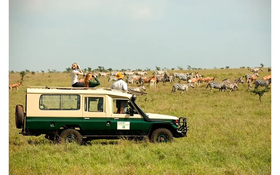 Kenya's Tented Amboseli & Mara Private Overland