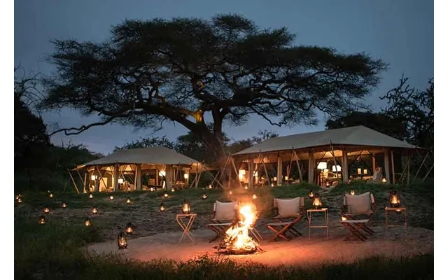 Luxury Tanzania Migration Safari product image