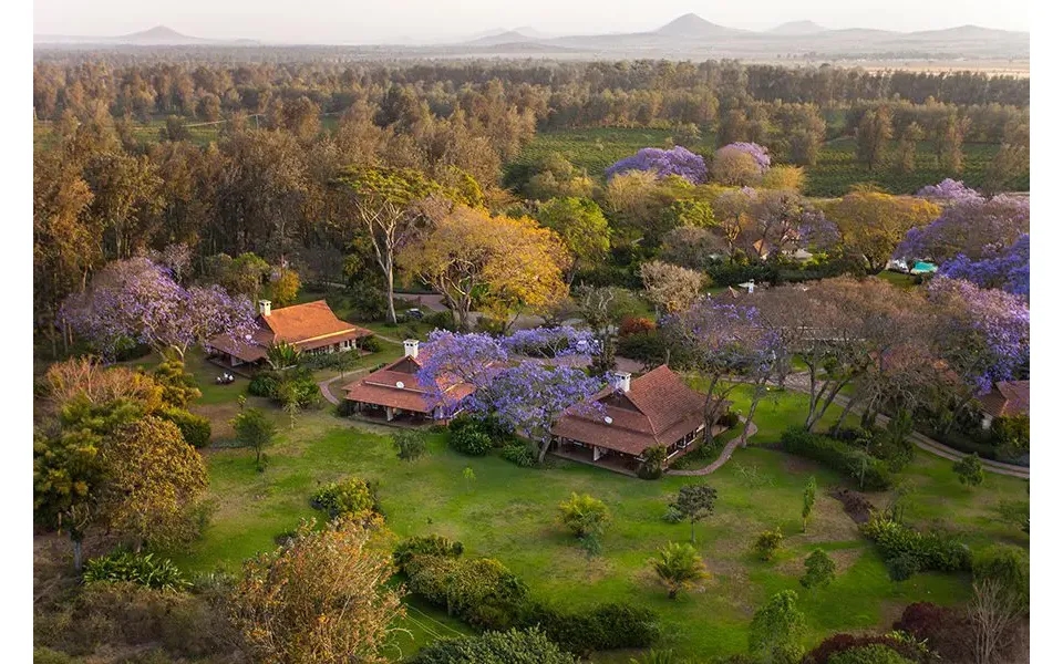 Luxury Tanzania Safari & Beach