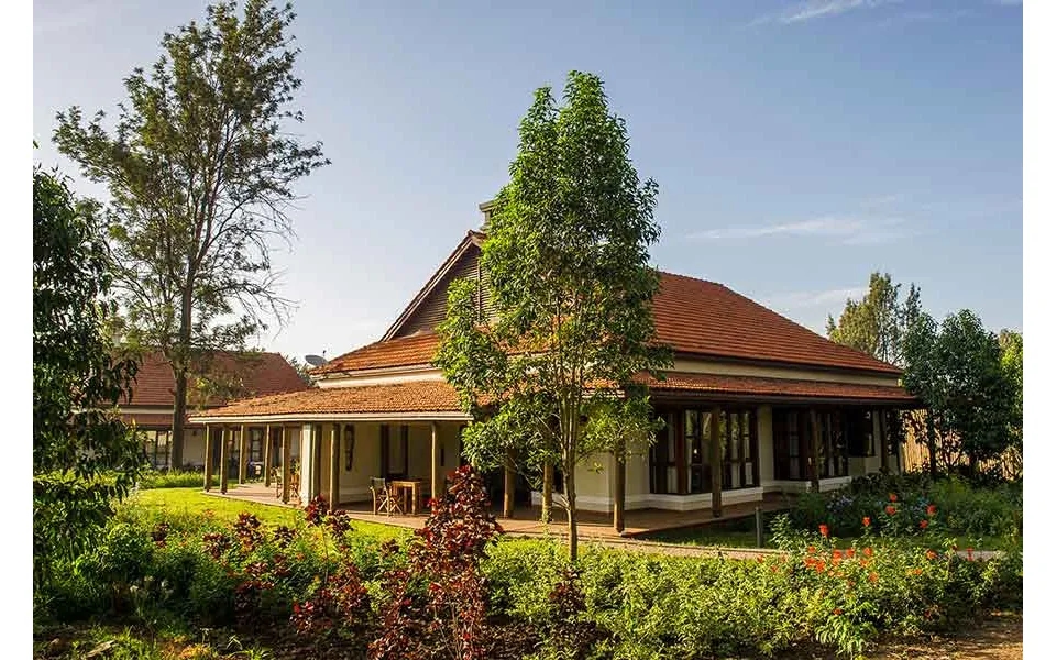 Luxury Tanzania Safari