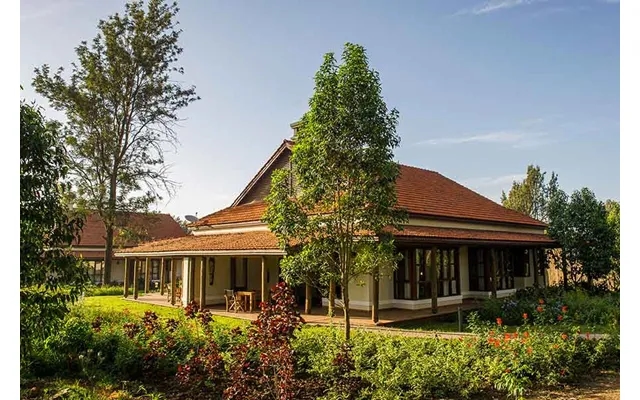 Luxury Tanzania Safari product image