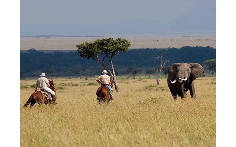 Masai Mara Horse-riding Safari