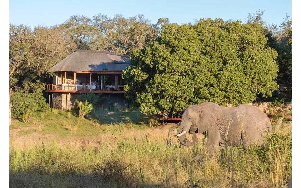 South Africa's Kruger Park & Mauritius Safari