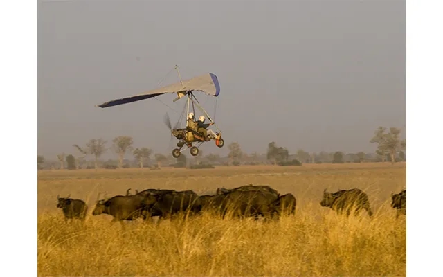 South Luangwa's 4x4 - Walking & Bike Safari product image
